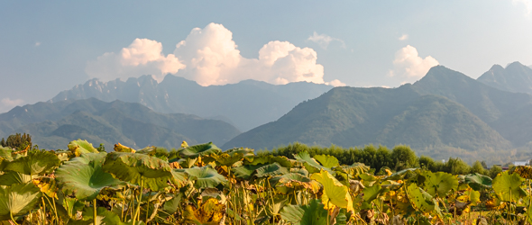 中国陕西省西安市秦岭北麓山脉秋天的自然风景