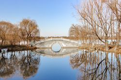 春天的中国陕西西安灞桥生态湿地公园景观风景