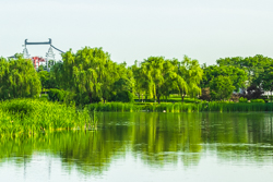 夏天的中国陕西西安大明宫国家遗址公园太液池风景