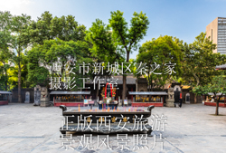 中国陕西西安大兴善寺景观