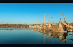 春天的中国陕西西安灞桥生态湿地公园景观风景电影风格