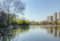 春天的中国陕西省西安市丰庆公园风景