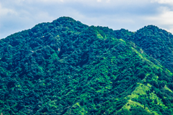 夏天的中国陕西西安秦岭北麓山脉风景