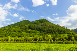 中国陕西省西安市夏天的秦岭北麓山脉子午峪山谷风景