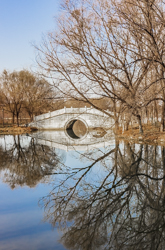 春天的中国陕西西安灞桥生态湿地公园景观风景