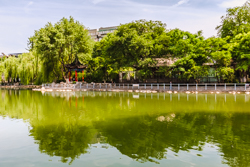 夏天的中国陕西西安莲湖公园风景