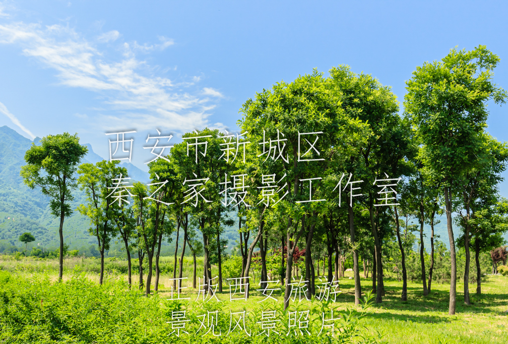 夏天的中国陕西省西安市秦岭北麓山脉山下的绿色树木风景