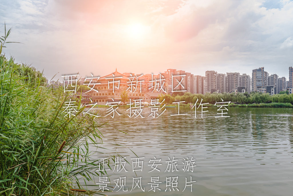 夏天的中国陕西西安曲江池遗址公园景观夕阳风景