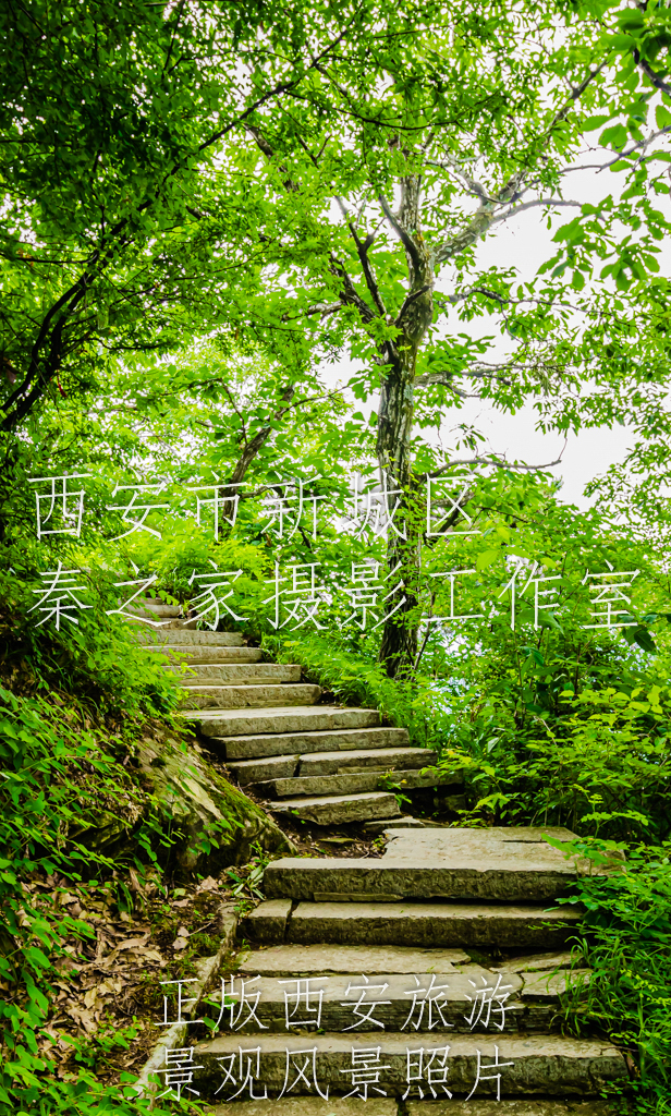 夏天中国陕西西安秦岭北麓山脉风景