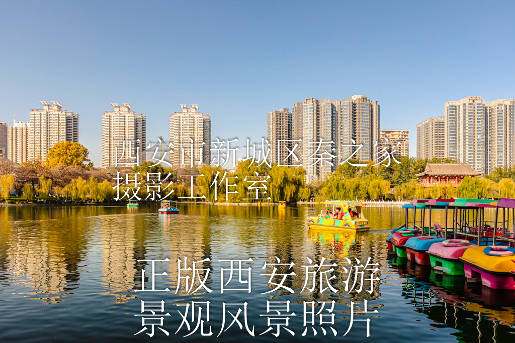 冬天的中国陕西西安兴庆宫公园景观风景