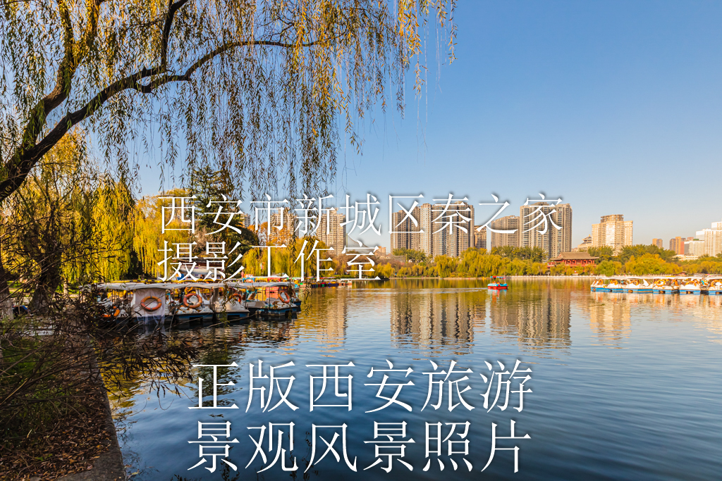 冬天的中国陕西西安兴庆宫公园景观风景